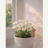 Nuvos AEON Monarch Butterfly Stained Glass Plant Pot Suncatcher - Handmade Real Glass Flower Pot Ornament for Planters - Indoor Outdoor Garden Décor - Gift for Women, Mom & Butterfly Lovers