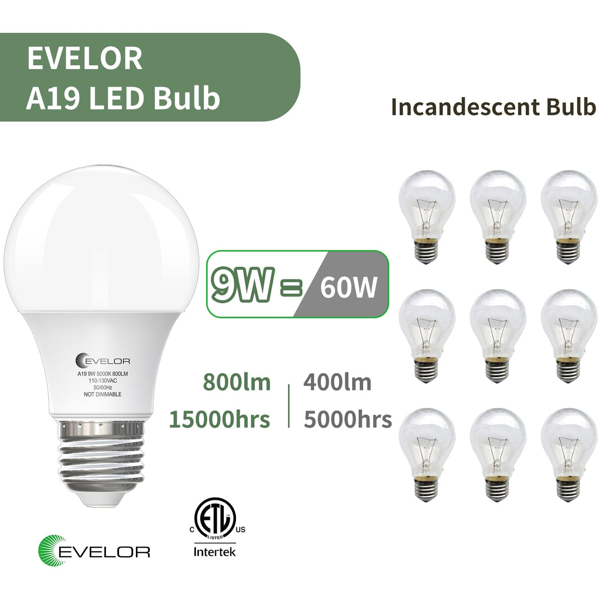 evelor A19 LED Light Bulbs,60 Watt Equivalent Daylight 5000K with E26 Base,Efficient 9W,800 Lumens Non-Dimmable LED Bulbs,15000 Hours, Ideal for Bedroom Living Room, 12-Packs