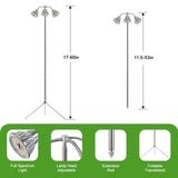 Full Spectrum Grow Light for Indoor Plants with Adjustable Tripod Stand, 11''- 60'' Height Plant Grow Lamp with Auto Timer 3/9/12H, LED Plant Light for Houseplants, Seedlings, Flowers & Indoor Garden