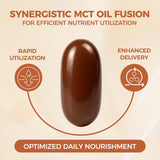 LIRAE Ceylon Cinnamon Ceylon Cinnamon Soft Gels Equivalent with Mct Oil, Highly Bioavailable Herbal Extract | Non-GMO, Gluten Free | 300 Softgel (3)