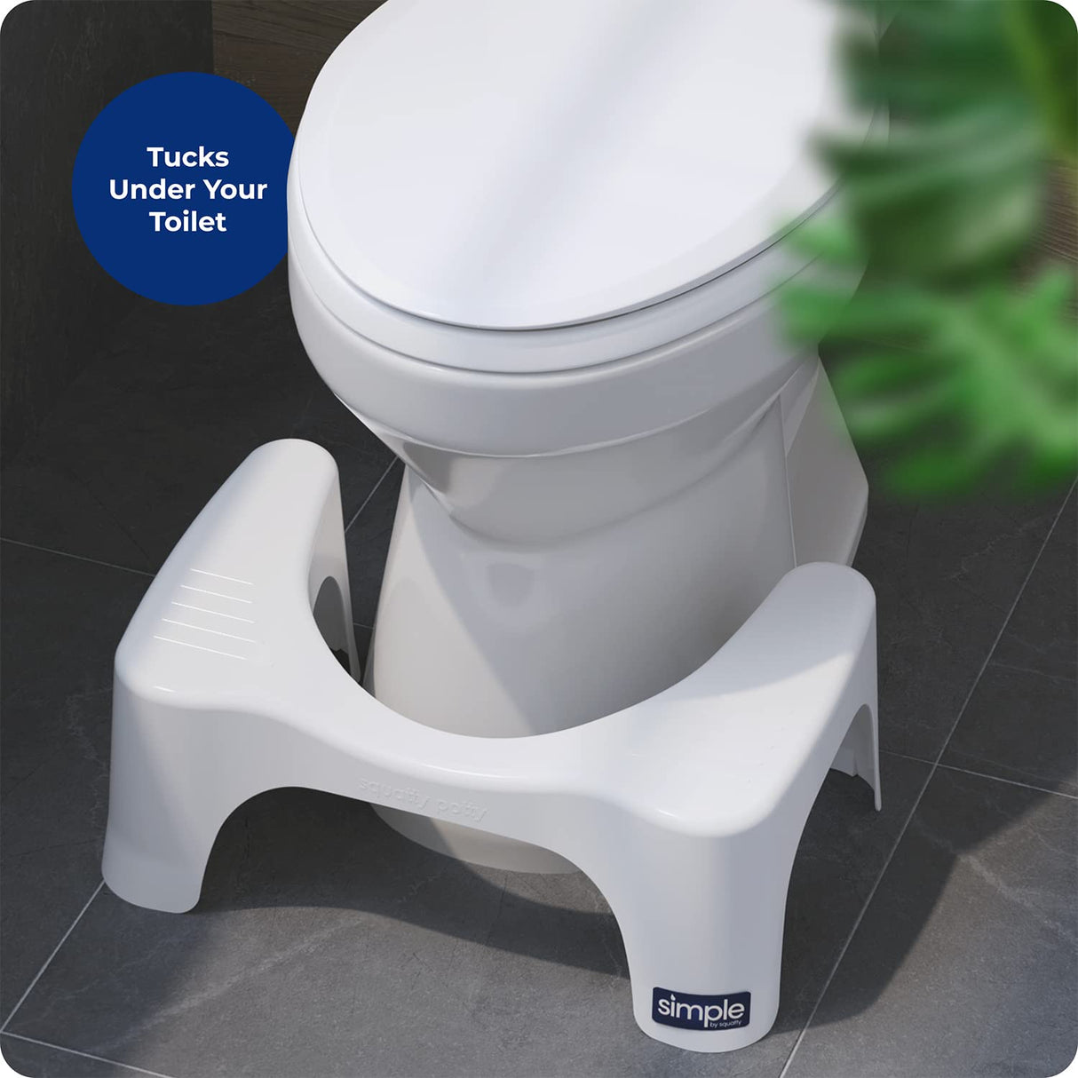 Squatty Potty Simple Curve Toilet Stool.