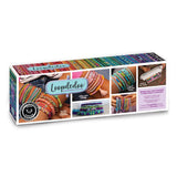Loopdedoo DIY Friendship Bracelet Maker Kit - Bracelet Making Kit for Kids Ages 8 & Up - Make Bracelets in Minutes for Birthday, Christmas Gift - Award Winning Craft Kit