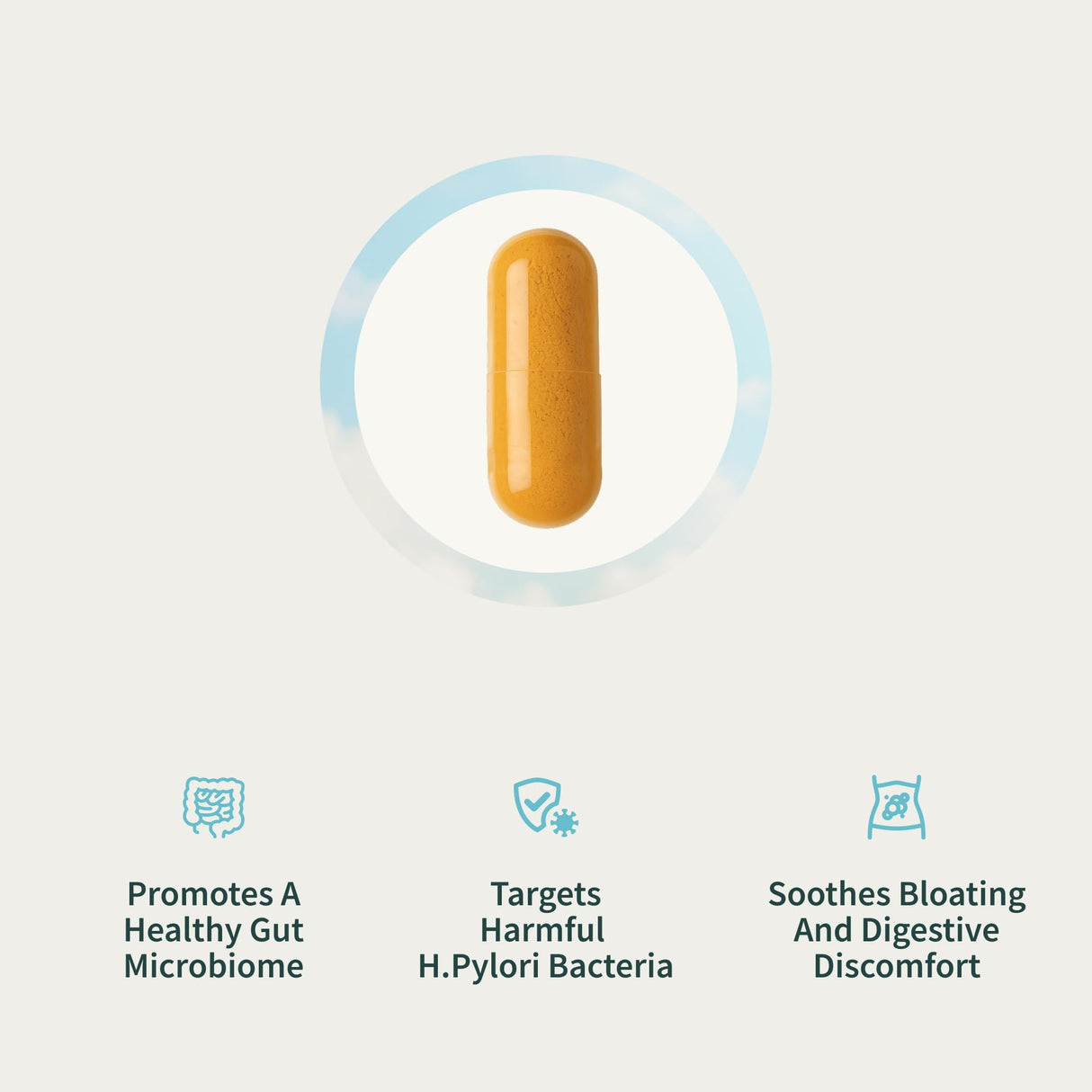 Gut Health Supplement with Turmeric, Aloe & Pylopass Probiotics – Digestive, Bloating & Mucosal Support – 15 Active Ingredients – 50 Capsules