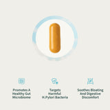 Gut Health Supplement with Turmeric, Aloe & Pylopass Probiotics – Digestive, Bloating & Mucosal Support – 15 Active Ingredients – 50 Capsules