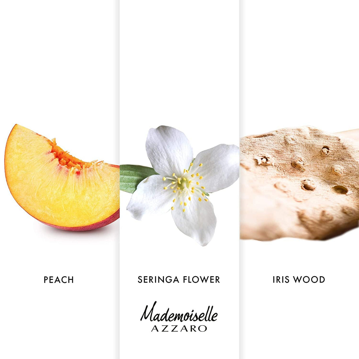 Azzaro Mademoiselle Eau de Toilette - Perfume for Women - Floral & Fruity Women's Fragrance, 1 Fl Oz