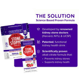 Stone Stopper Drink Mix, Lemonade, Kidney Stone Prevention, Calcium Oxalate Protector, Alkali Citrate Support, Developed by Urologists to Improve Hydration and Support Kidney Health, 15 Day Supply