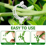 FXOICMI Plant Support Clips, Plastic Garden Fixing Clips for Climbing Plants Tomato Grape Vines, Greenhouse Garden Clips to Keep Plants Upright & Healthy (100, Green)