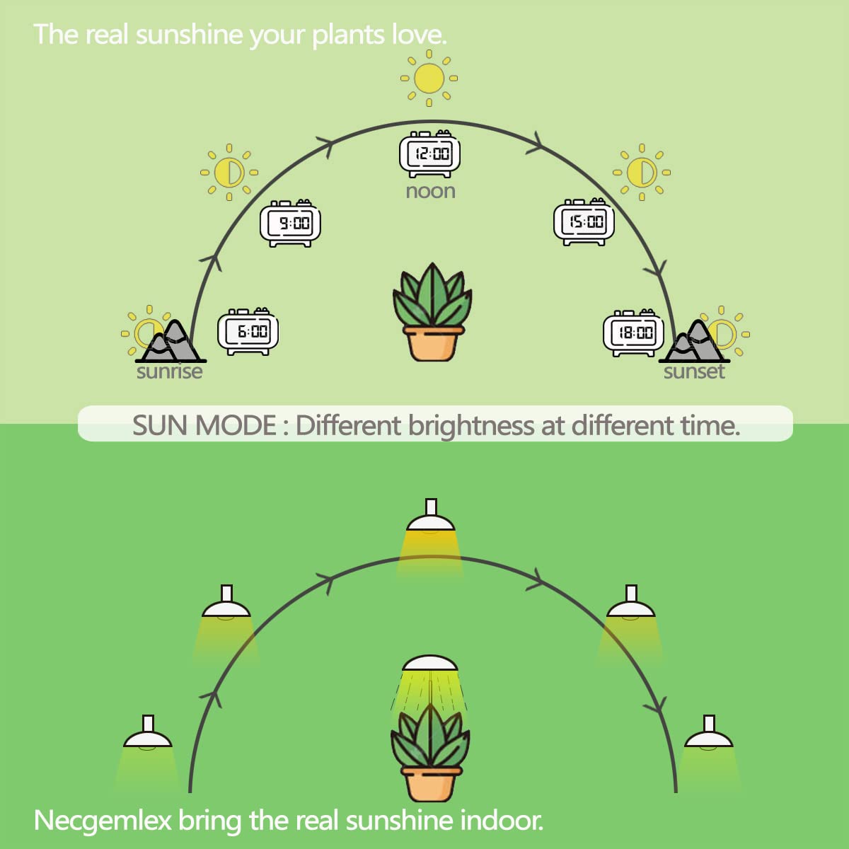 Necgemlex Smart LED Grow Light Bulbs with Remote Controller, Sun Simulation Mode, Built-in Auto Timer, A21/A70 E26/E27 9W Dimmable Full Spectrum Intelligent Plant Grow Bulbs for Indoor Plants, 4 Pack