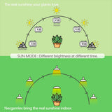 Necgemlex Smart LED Grow Light Bulbs with Remote Controller, Sun Simulation Mode, Built-in Auto Timer, A21/A70 E26/E27 9W Dimmable Full Spectrum Intelligent Plant Grow Bulbs for Indoor Plants, 4 Pack