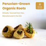 NutraChamps USDA Organic Maca Root Capsules for Women & Men, 2100mg, 180 Capsules, Black, Red & Yellow Peruvian Gelatinized, Highest Potency Maca Root Powder Supplement