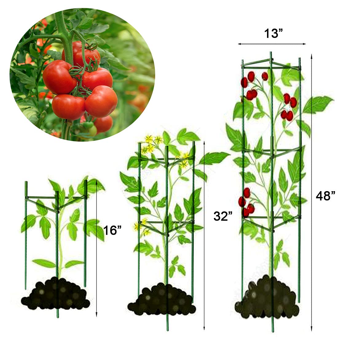 4 Pack Tomato Cage Plant Support Assembled -48inch Vegetable Trellis,Assembled Multi-Functional Garden Trellis Garden Trellis for Climbing Vegetables,Climbing Plants, Vegetables, Flowers, Fruits, Vine