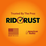 Pro Products American Hydro Systems 2662 Rid O' Rust Liquid Rust Stain Remover, 1 Gallon, 2 Pack
