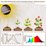 bseah Grow Light Plant Lights for Indoor Plants, Full Spectrum Led Growing Lamp with 3/9/12H Timer, Auto ON & Off, 10 Dimmable Lightness Clip-On Desk