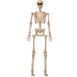 JOYIN 5 FT Halloween Skeleton Life Size, Stayable Posable Skeleton Decor, Full Body Movable Joints Giant Skeletons for Halloween Decoration Outdoor, Haunted House Prop, Spooky Scary Graveyard Party