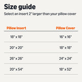 Amazon Basics Throw Pillow Insert, Down Alternative Fiberfill, Hypoallergenic, Machine Washable, 20 Inch, 2-Pack, for Sofa Bed Couch
