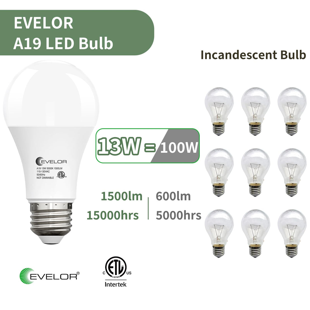 evelor 24-Packs A19 LED Light Bulbs,100 Watt Equivalent Daylight 5000K Bright Bulbs Efficient 13W,1500 Lumens E26 Base, Non-Dimmable, 15000-Hour Lifespan for Bedroom, Living Room, Office
