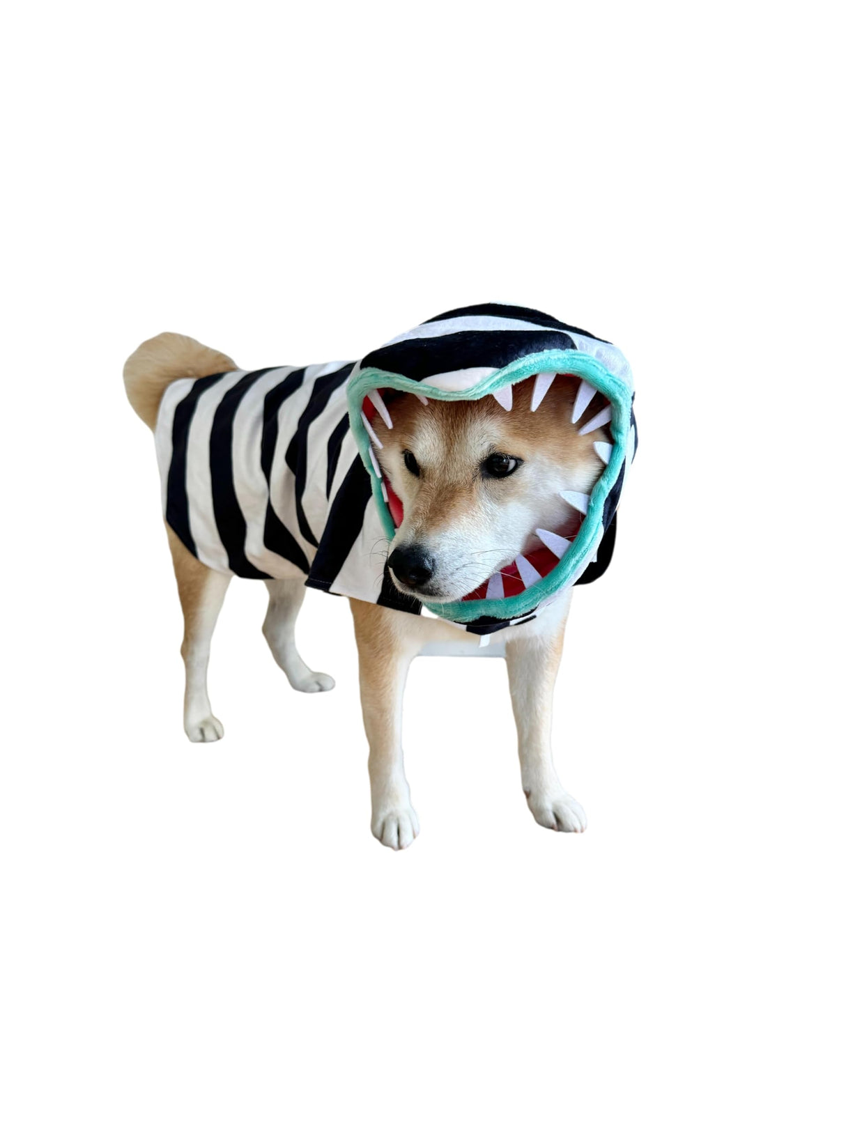 ComfyCamper Snake Costume for Dogs - Small Medium Large XLarge XXL Cosplay Halloween Costumes Christmas, L