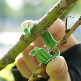 100 Secured Plastic Plant Clip, New Reusable Plant Support Clips Plastic Clips Tomato Clips for Securing Plants for Climbing Plants, Grape, Vegetable Stems (100 Pcs)