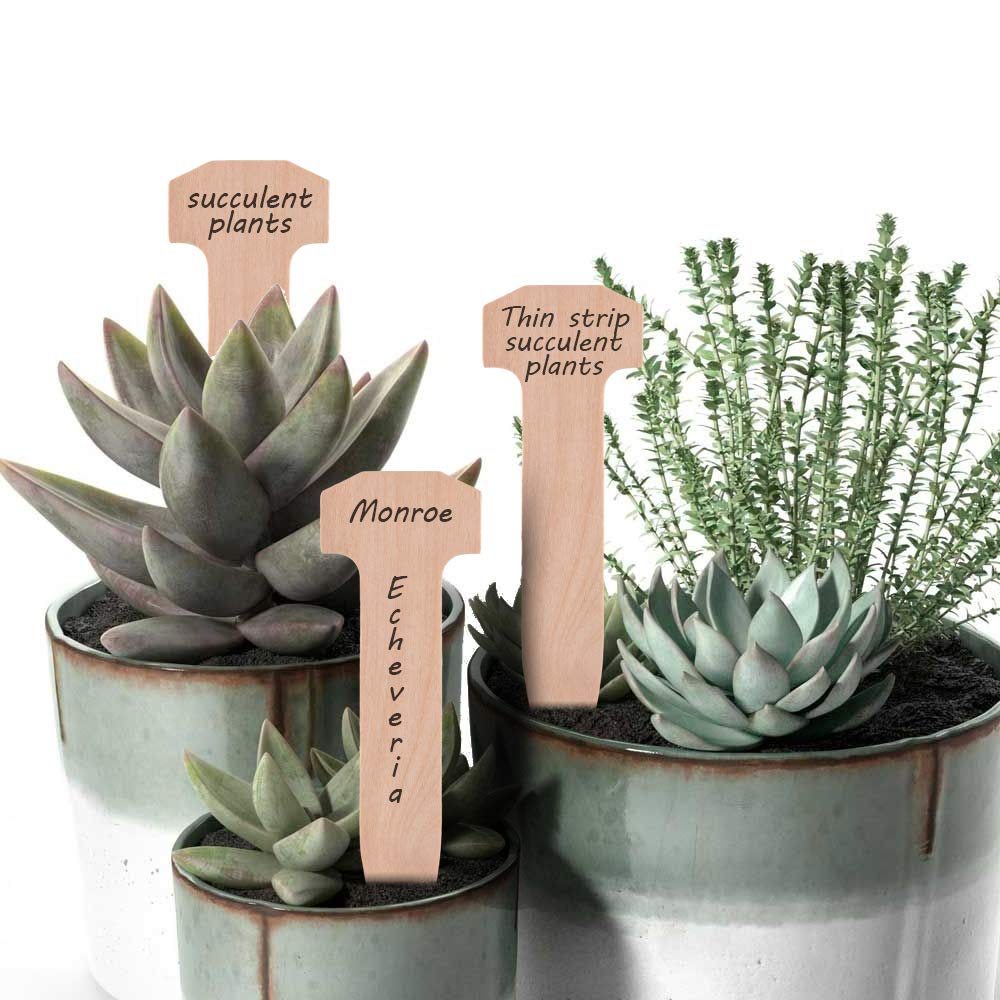 AMEILOZ 5 Inch Wooden Garden Stakes, Sturdy Wood Staples Pins Ground Stakes for Weed Barrier, Yard Lawn, Landscape Fabric