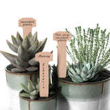 AMEILOZ 5 Inch Wooden Garden Stakes, Sturdy Wood Staples Pins Ground Stakes for Weed Barrier, Yard Lawn, Landscape Fabric