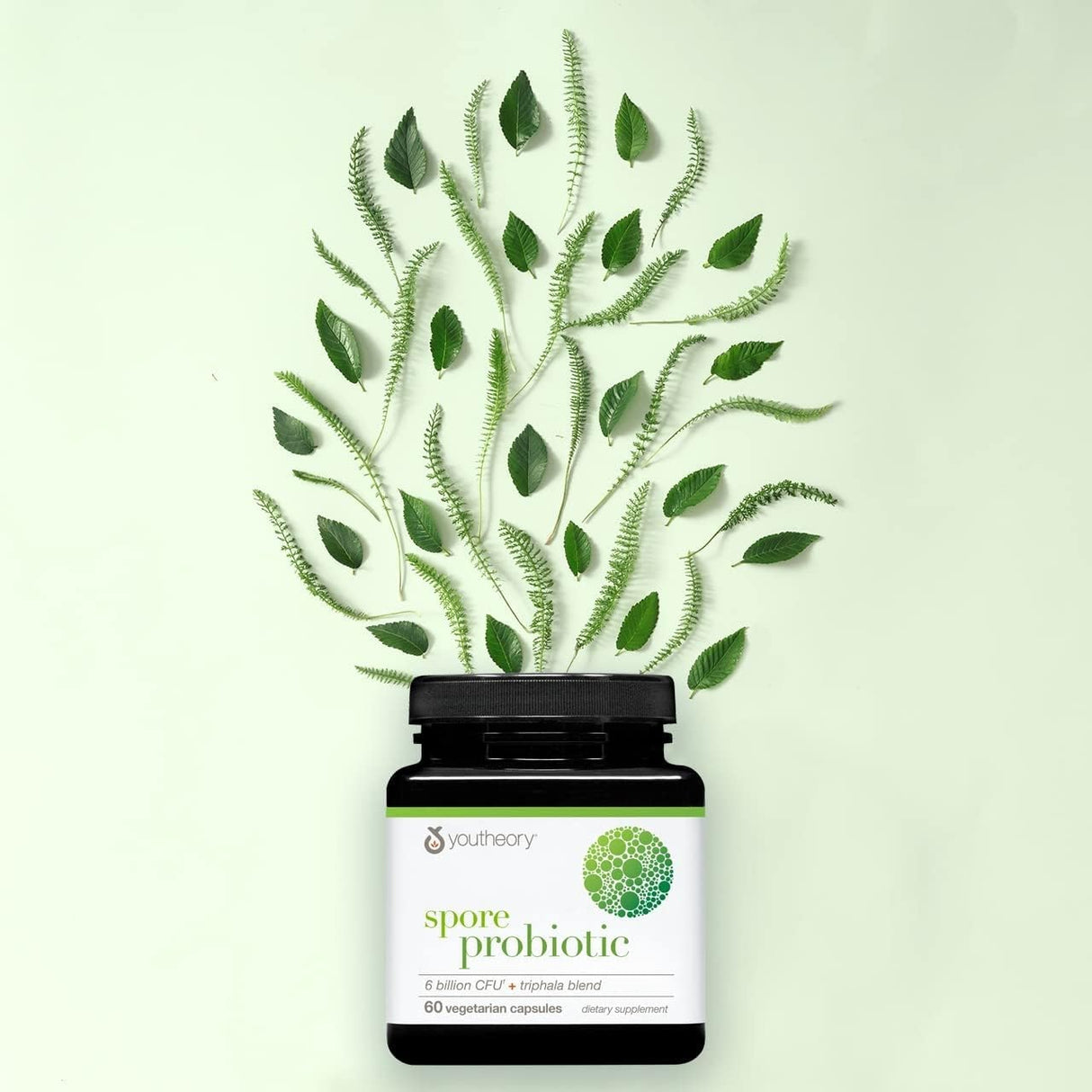 Youtheory Spore Probiotic - 6 Billion CFU - Probiotic Digestive Supplement* - Resists Stomach Acid Breakdown* - Dairy, Gluten & Soy Free - 60 Vegetarian Capsules