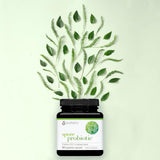 Youtheory Spore Probiotic - 6 Billion CFU - Probiotic Digestive Supplement* - Resists Stomach Acid Breakdown* - Dairy, Gluten & Soy Free - 60 Vegetarian Capsules