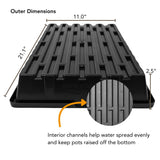 Bootstrap Farmer 1020 Trays (10-Pack), Heavy Duty No-Hole Flats for Microgreens, Fodder & Seedling Propagation - 1.8mm Thick Reusable Plastic