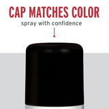 Rust-Oleum 376298 Stops Rust Turbo Spray System Spray Paint, 24 oz, Flat Black