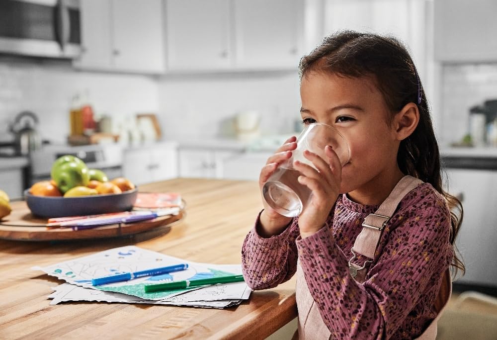 Frigidaire WF2CB PureSource 2® Water Filter