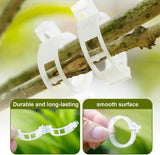 50 PCS Secured Plastic Plant Clip, Plant Support Clips, Garden Clips for Climbing Plants, Plastic Trellis Clips Plant Support Clips Tomato Grape Vine Vegetables Plant Fixing Clips (50, Green)