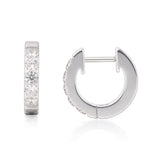 Limerencia Hypoallergenic Implant Grade Titanium Huggie Hoop Earrings