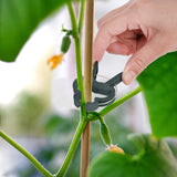 Fasmov 160 Piece Efficient Gardening Plant & Flower Spring Clips - for Supporting or Straightening Plant Stems, Stalks, and Vines