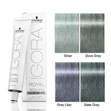 Igora Royal Absolutes SilverWhite Tonal Refiner SILVER 60 ml and M Hair Designs Tint Brush (Bundle 2 items)