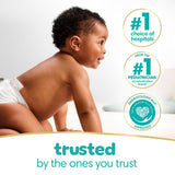 Pampers Baby Wipes, Sensitive, Water Based Wipe, Clinically Proven, Hypoallergenic, and Unscented for Babies, 1008 Wipes Total (12 Flip-Top Packs)