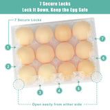 SINLUCESCE 100 Packs Egg Cartons Cheap Bulk，Plastic for 12 Eggs, Clear Egg Cartons 3 * 4 Grids，Perfect for Refrigerator Chicken Farm Markets Commercial Business Market Display