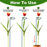 Fabulas 24 Pack Plant Support Stakes, 16 Inch Metal Garden Plant Stakes Single Stem Support Rings for Indoor Outdoor Amaryllis, Flowers Orchid, Lily, Peony, Rose, Tomato, Monstera, Narcissus