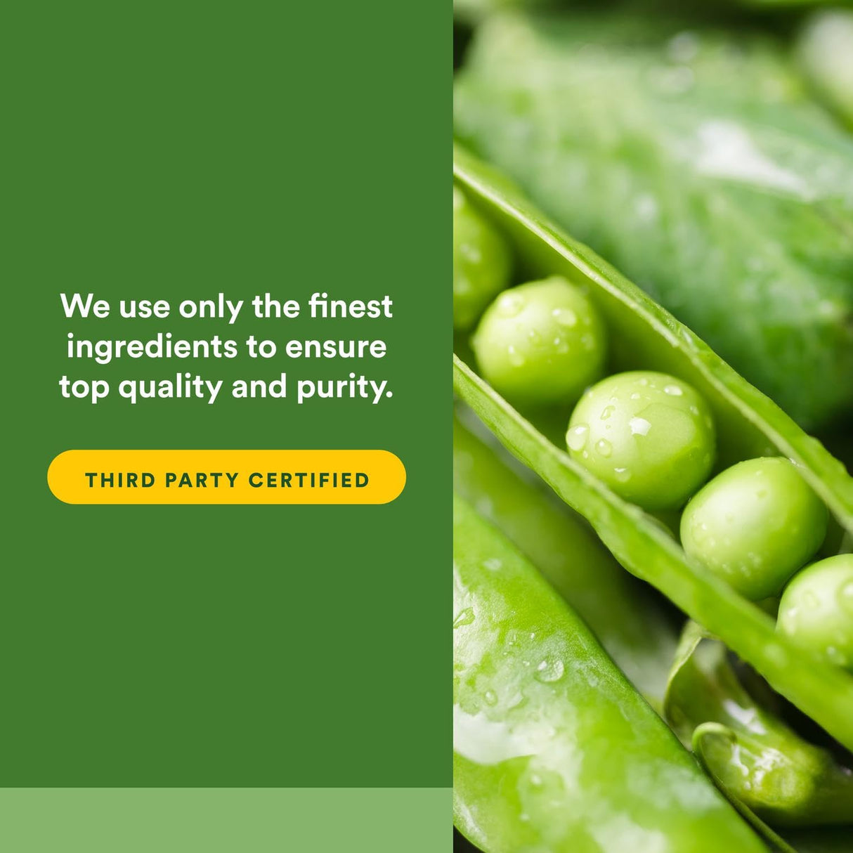 Whole Earth & Sea from Natural Factors, Organic Fermented Greens, Vegan Whole Food Supplement, Chocolate, 15.5 Oz