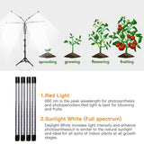 GHodec Grow Light Free Standing, 5500K Full Spectrum Gooseneck LED Lamp