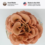 Forest Origins Pink Oyster Mushroom Grow Kit, Beginner Friendly & Easy to Use, Grows in 10 Days | Handmade in California, USA | Top Gardening Gift, Holiday Gift & Unique Gift