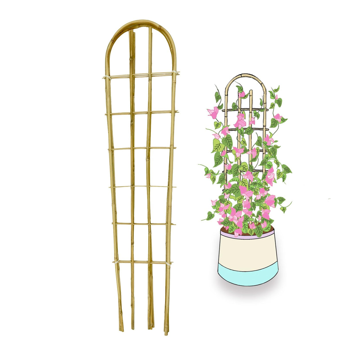 Bamboo Trellis,U-Shape Bamboo Trellis,4Feet,3pack,for Climbing Plants Outdoor Bamboo,for,Climbing Plants,Tomato, Vegetables,Flowers, Beans, Cucumber,Indoor Potted Climb Plants