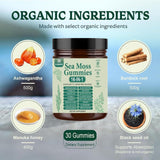 16 in 1 Sea Moss Gummies | Sea Moss Gummies for Women Men with Black Seed Oil, Burdock Root, Bladderwrack, Manuka Honey, and 10 More