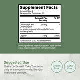 Liquid Chlorophyll, Liquid Drops for Immune System Support, Natural Internal Deodorant - Vegan Chlorophyll Drops with Organic Glycerin - Clorofila Liquida, Chlorophyllin Detox Cleanse (1 mL)