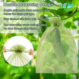 Shintop 100Pcs Fruit Protection Bags, 8x12 Inch Green Grape Netting Cover
