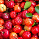 Pure Original Ingredients Acerola Cherry, (100 Capsules) Always Pure, No Additives Or Fillers
