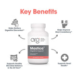 Allergy Research Group Mastica - Mastic Gum Capsules, Digestive Health Supplement for Adults, Mastic Resin Powder Capsules for Gut Health Support - 240 Count