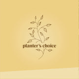 Bonsai Starter Kit - Gardening Easter Gift for Women & Men - Bonsai Tree Growing Garden Crafts Hobby Kits for Adults, Unique DIY Hobbies for Plant Lovers - Unusual Christmas Gifts Ideas