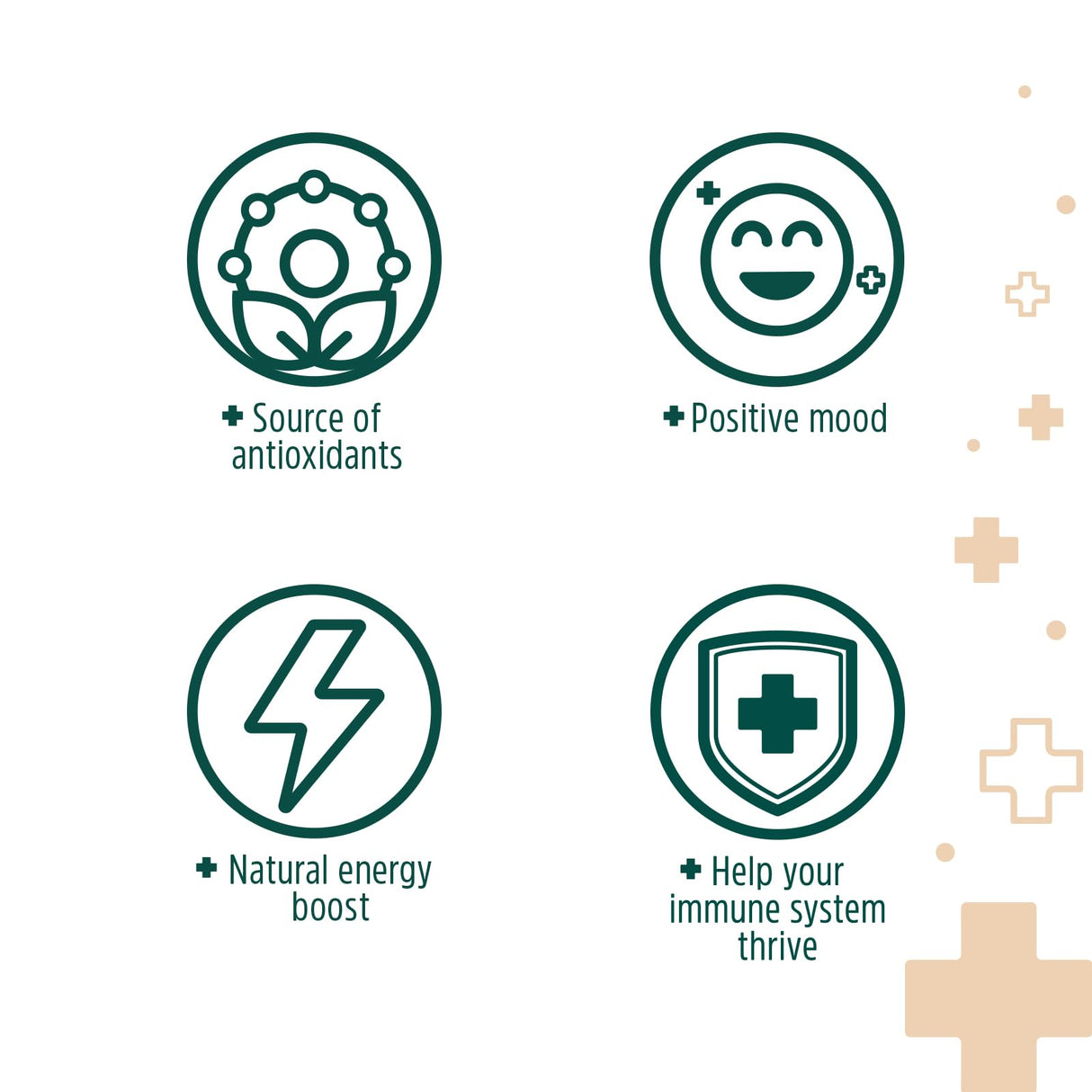 goodPOD Mood and Immune Support Single Serve Coffee K Cup Pods, Organic Arabica Coffee with Reishi & Chaga Mushrooms, Medium Roast, 12 Count