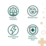 goodPOD Mood and Immune Support Single Serve Coffee K Cup Pods, Organic Arabica Coffee with Reishi & Chaga Mushrooms, Medium Roast, 12 Count