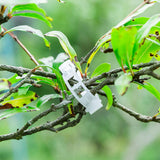 100 Plant Support Clips Reusable Garden Clips, Secured Plastic Plant Clips, Tomato Support Clips for Climbing Plants,Grape and Vine Vegetables Outdoor Indoor Plant Fixing Clips