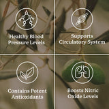 Nature's Sunshine Blood Pressurex 60 Capsules